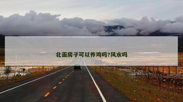 北面房子可以养鸡吗?风水吗