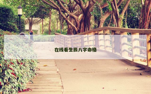 在线看生辰八字命格