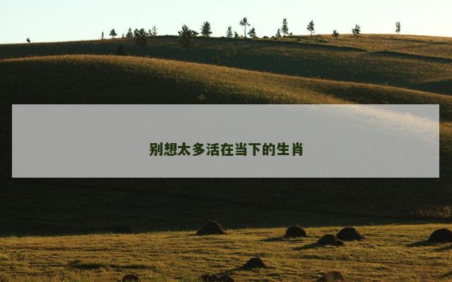 别想太多活在当下的生肖