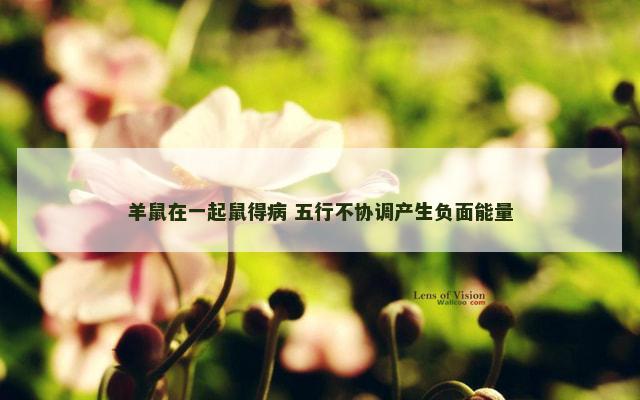 羊鼠在一起鼠得病 五行不协调产生负面能量
