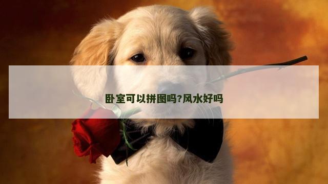 卧室可以拼图吗?风水好吗
