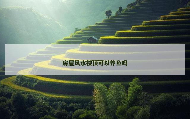 房屋风水楼顶可以养鱼吗