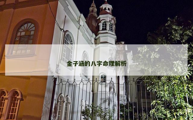 金子涵的八字命理解析