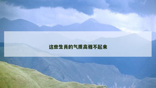 这些生肖的气质高雅不起来
