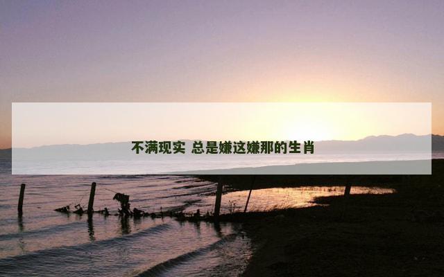 不满现实 总是嫌这嫌那的生肖