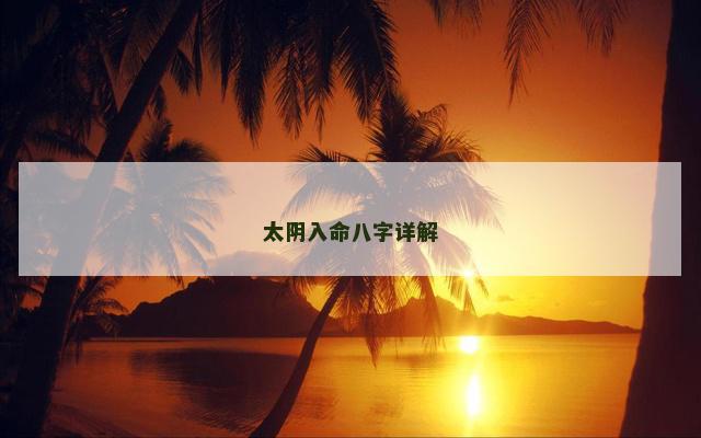 太阴入命八字详解