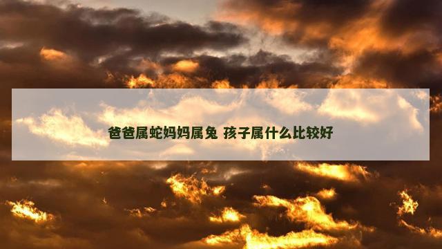 爸爸属蛇妈妈属兔 孩子属什么比较好