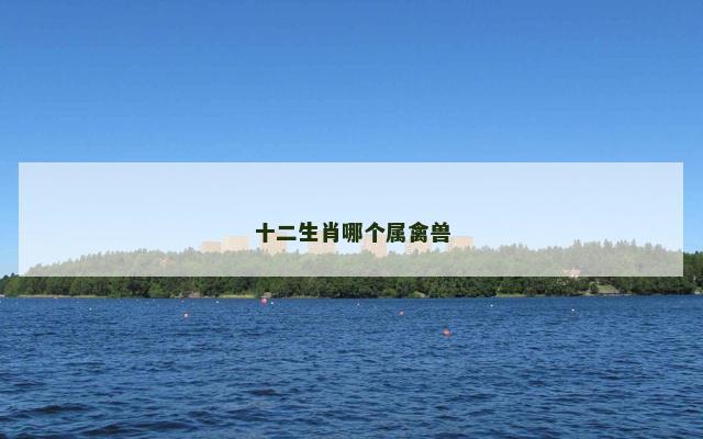 十二生肖哪个属禽兽