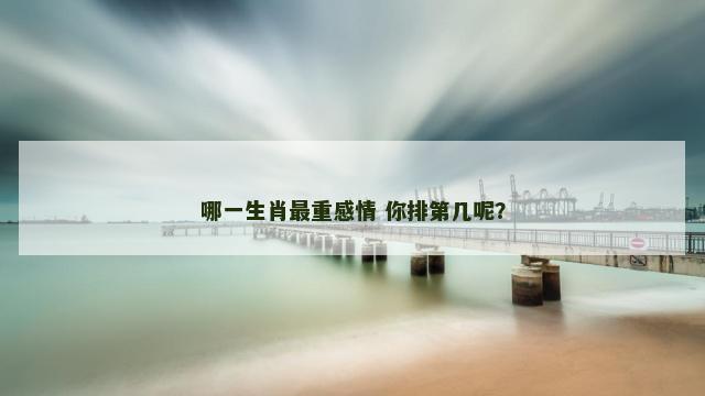 哪一生肖最重感情 你排第几呢？
