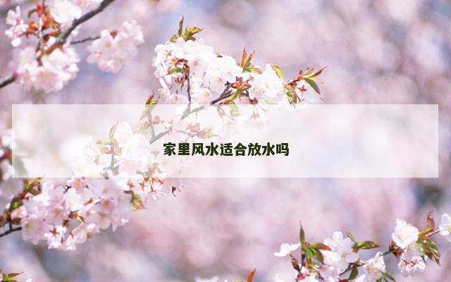 家里风水适合放水吗