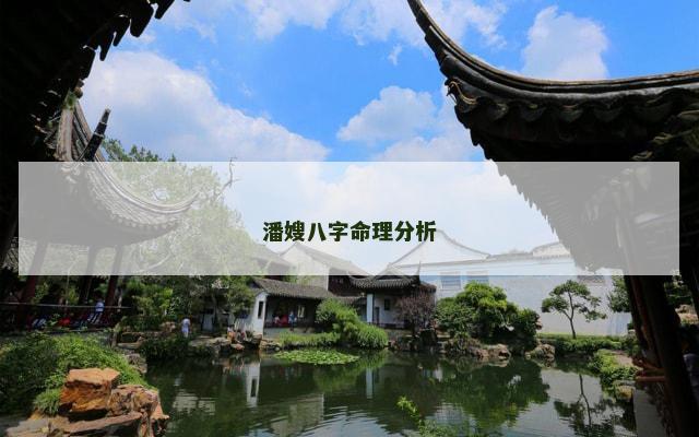潘嫂八字命理分析