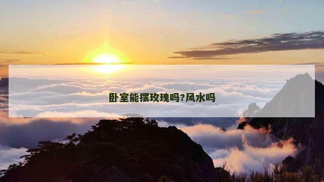 卧室能摆玫瑰吗?风水吗