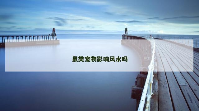 鼠类宠物影响风水吗
