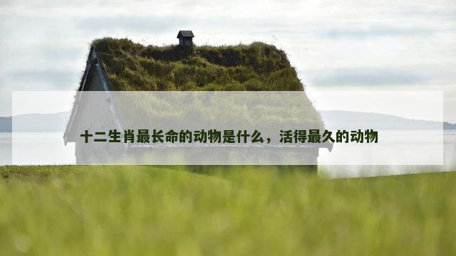 十二生肖最长命的动物是什么，活得最久的动物