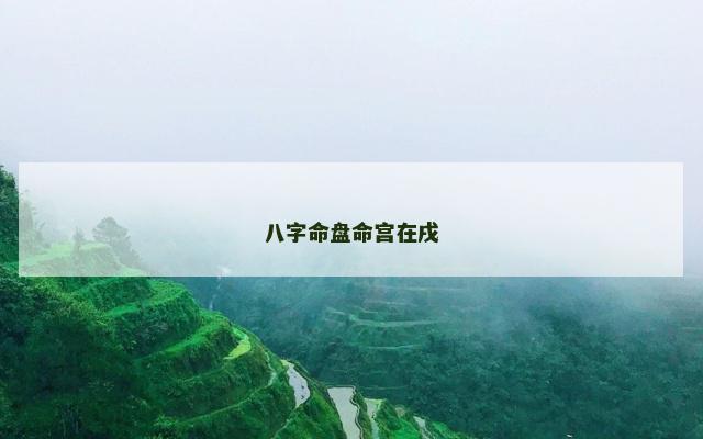 八字命盘命宫在戌