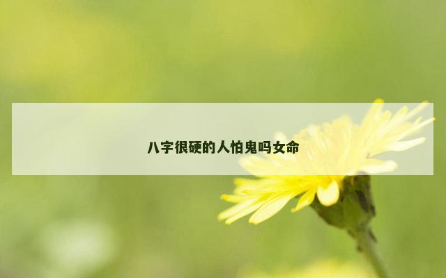 八字很硬的人怕鬼吗女命