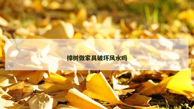 樟树做家具破坏风水吗