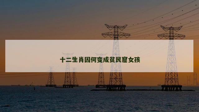 十二生肖因何变成贫民窟女孩