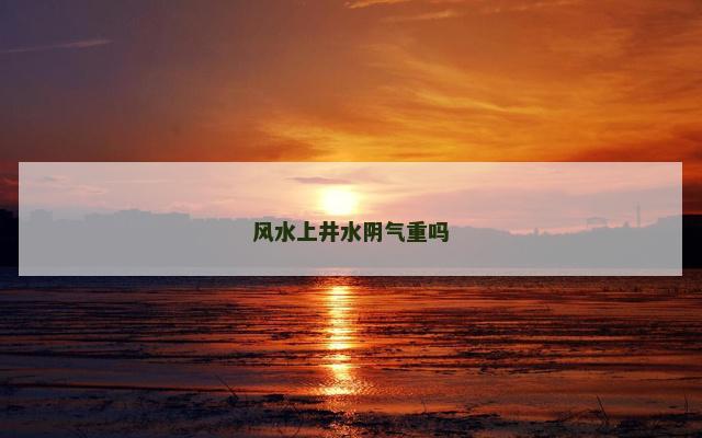 风水上井水阴气重吗