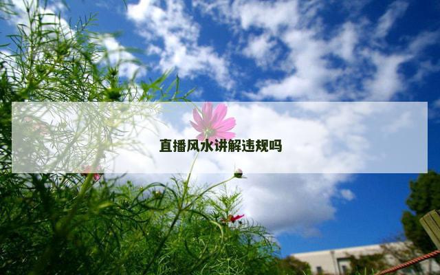 直播风水讲解违规吗