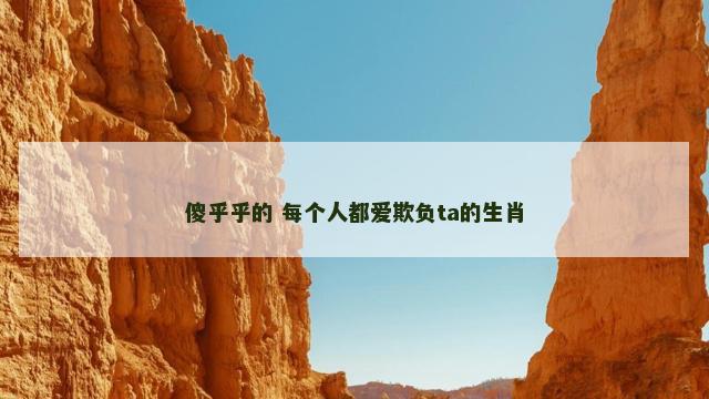 傻乎乎的 每个人都爱欺负ta的生肖