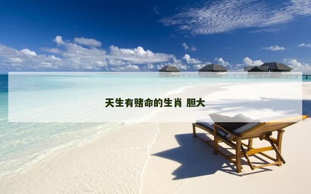 天生有赌命的生肖 胆大