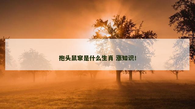 抱头鼠窜是什么生肖 涨知识！