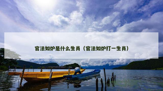 官法如炉是什么生肖（官法如炉打一生肖）