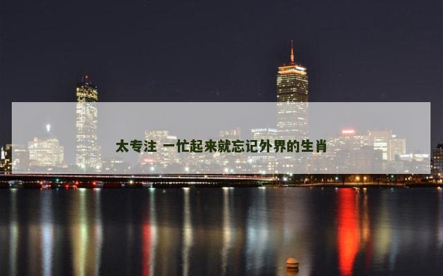 太专注 一忙起来就忘记外界的生肖