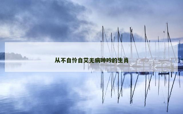 从不自怜自艾无病呻吟的生肖