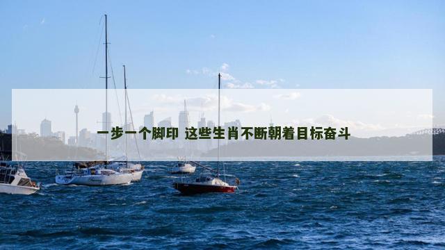 一步一个脚印 这些生肖不断朝着目标奋斗