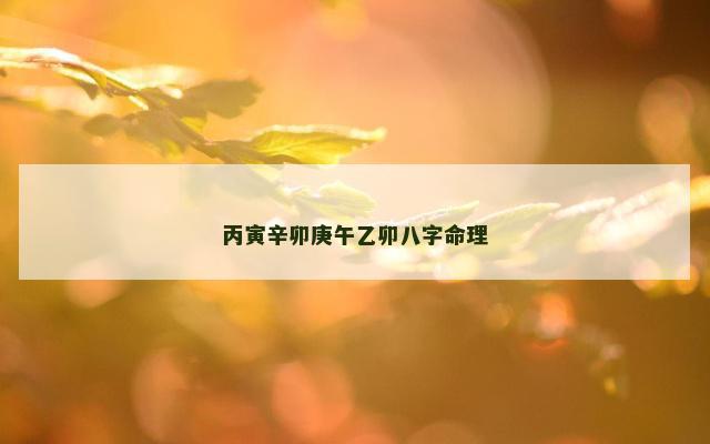 丙寅辛卯庚午乙卯八字命理