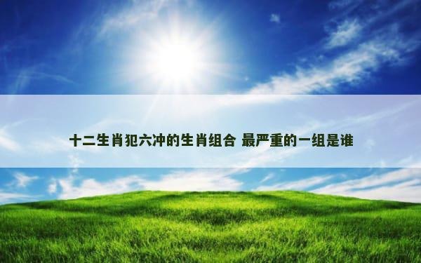 十二生肖犯六冲的生肖组合 最严重的一组是谁