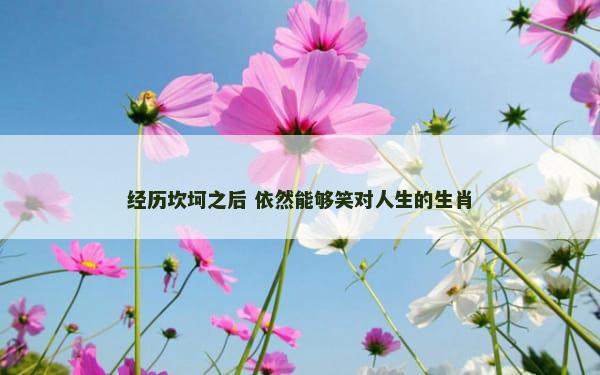 经历坎坷之后 依然能够笑对人生的生肖