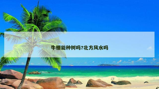 牛棚能种树吗?北方风水吗