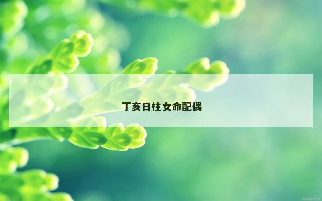 丁亥日柱女命配偶