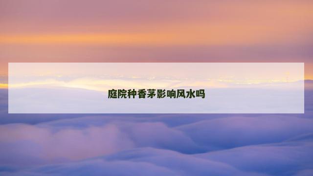 庭院种香茅影响风水吗