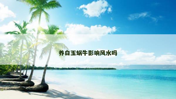 养白玉蜗牛影响风水吗