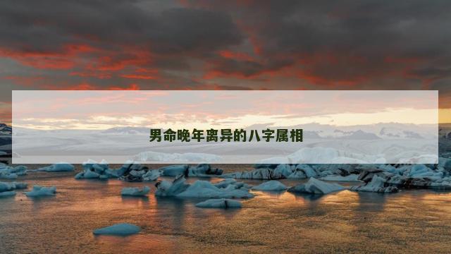 男命晚年离异的八字属相