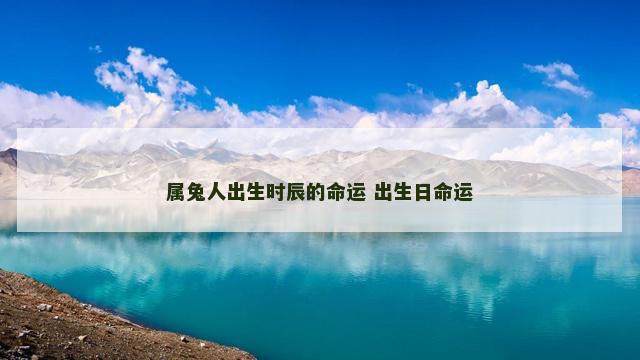 属兔人出生时辰的命运 出生日命运