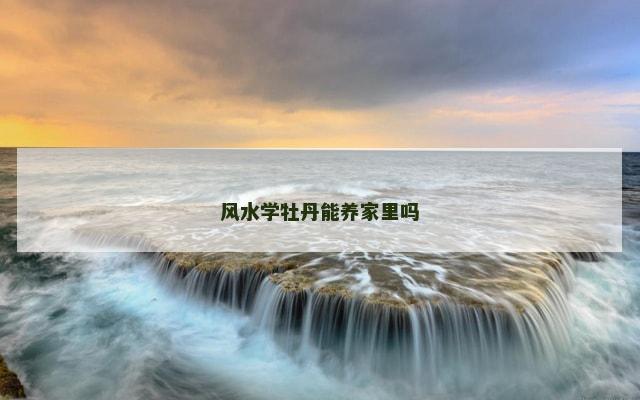 风水学牡丹能养家里吗