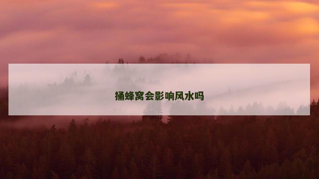 捅蜂窝会影响风水吗