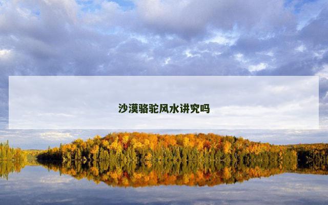 沙漠骆驼风水讲究吗
