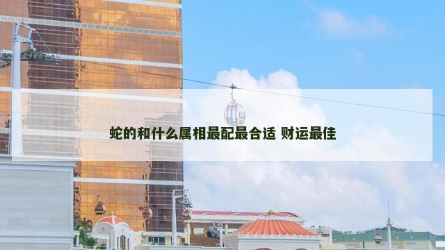 蛇的和什么属相最配最合适 财运最佳