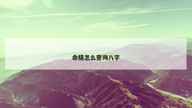 命格怎么查询八字