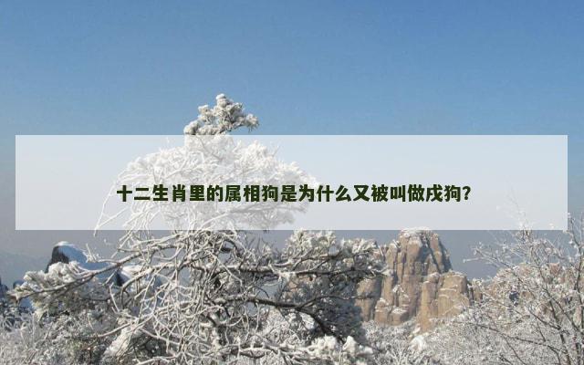 十二生肖里的属相狗是为什么又被叫做戌狗？
