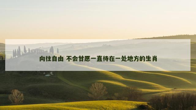 向往自由 不会甘愿一直待在一处地方的生肖