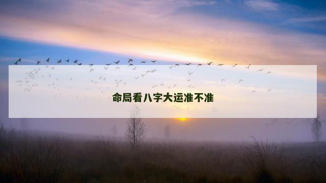 命局看八字大运准不准