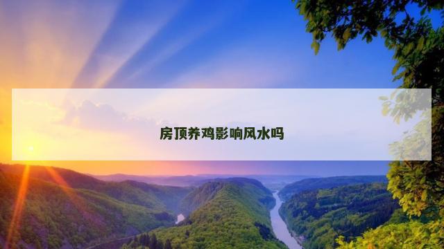 房顶养鸡影响风水吗