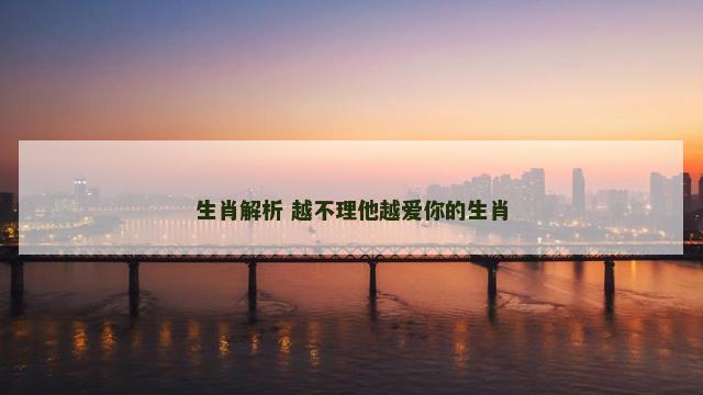 生肖解析 越不理他越爱你的生肖
